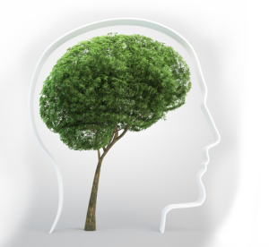 brainlearning-tree-growth